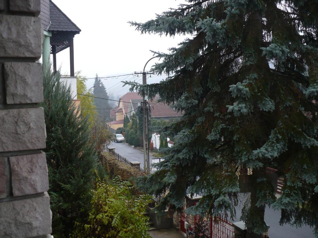 Kitty Apartman Leilighet Miskolc Eksteriør bilde